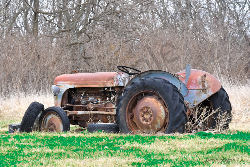Earlham Farms 27 Photography Art | Photos By Regan