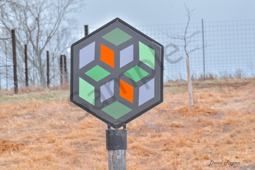 Earlham Farms 29 Photography Art | Photos By Regan