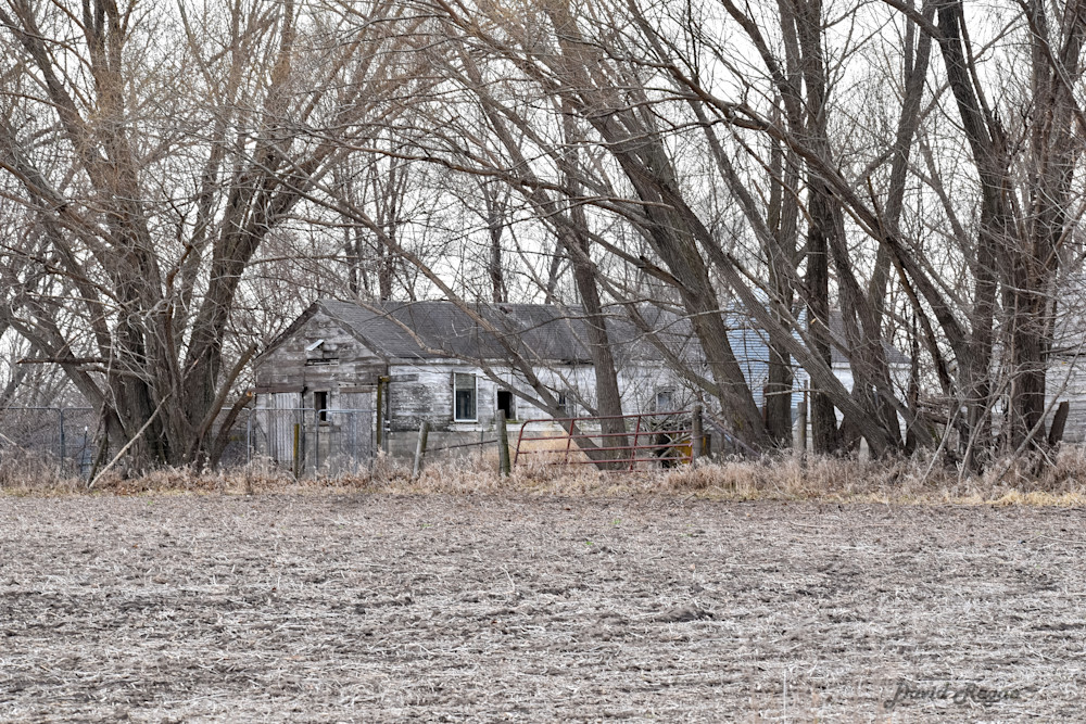 Earlham Farms 24 Photography Art | Photos By Regan