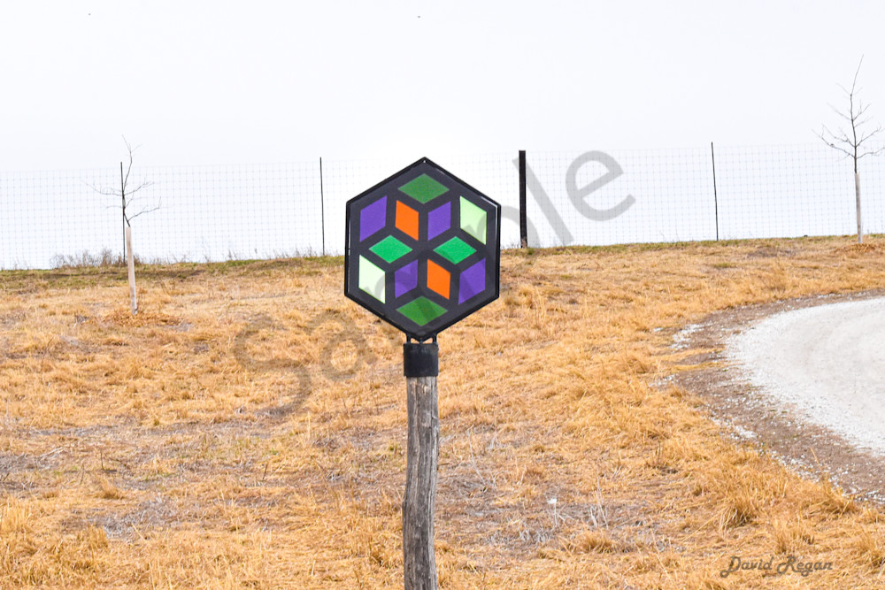 Earlham Farms 30 Photography Art | Photos By Regan