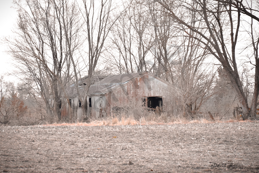 Earlham Farms 23 Photography Art | Photos By Regan