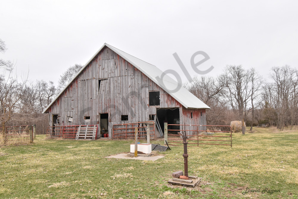 Earlham Farms 26 Photography Art | Photos By Regan