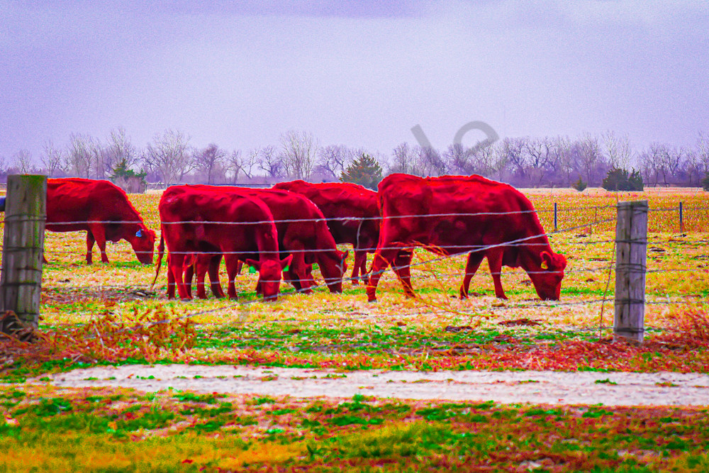 Nebraska Trip 4 2 Photography Art | Photos By Regan