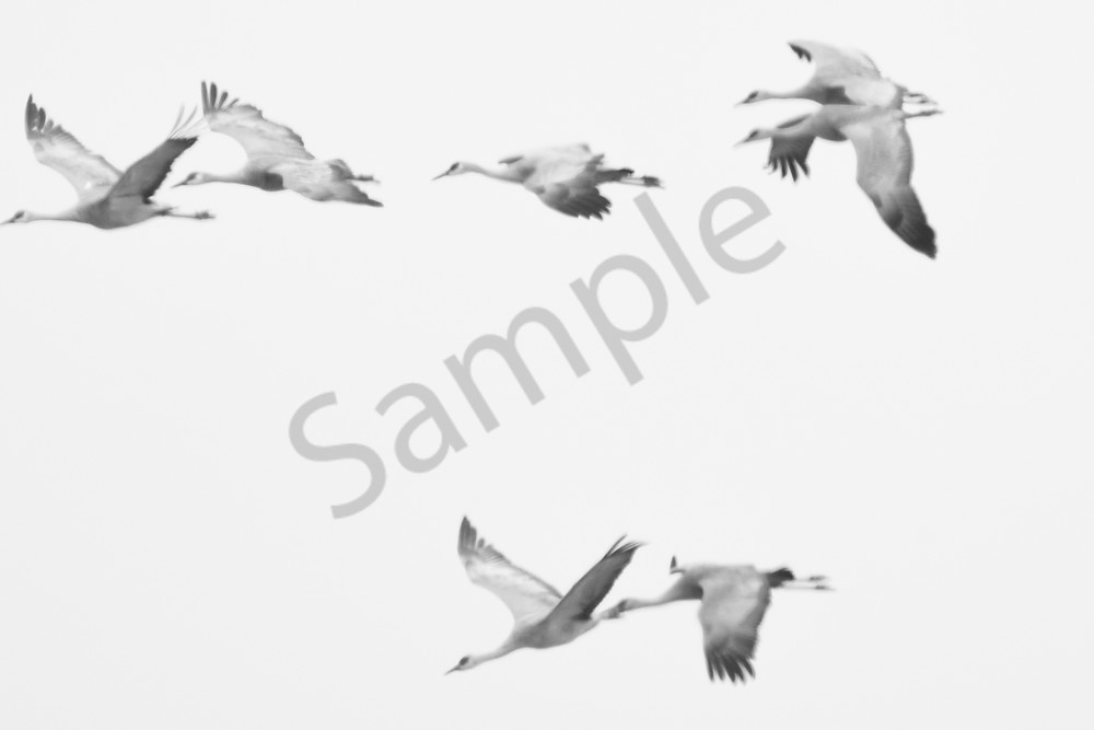 Nebraska Trip 29 3 Photography Art | Photos By Regan