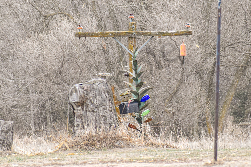 Nebraska Trip 34 3 Photography Art | Photos By Regan