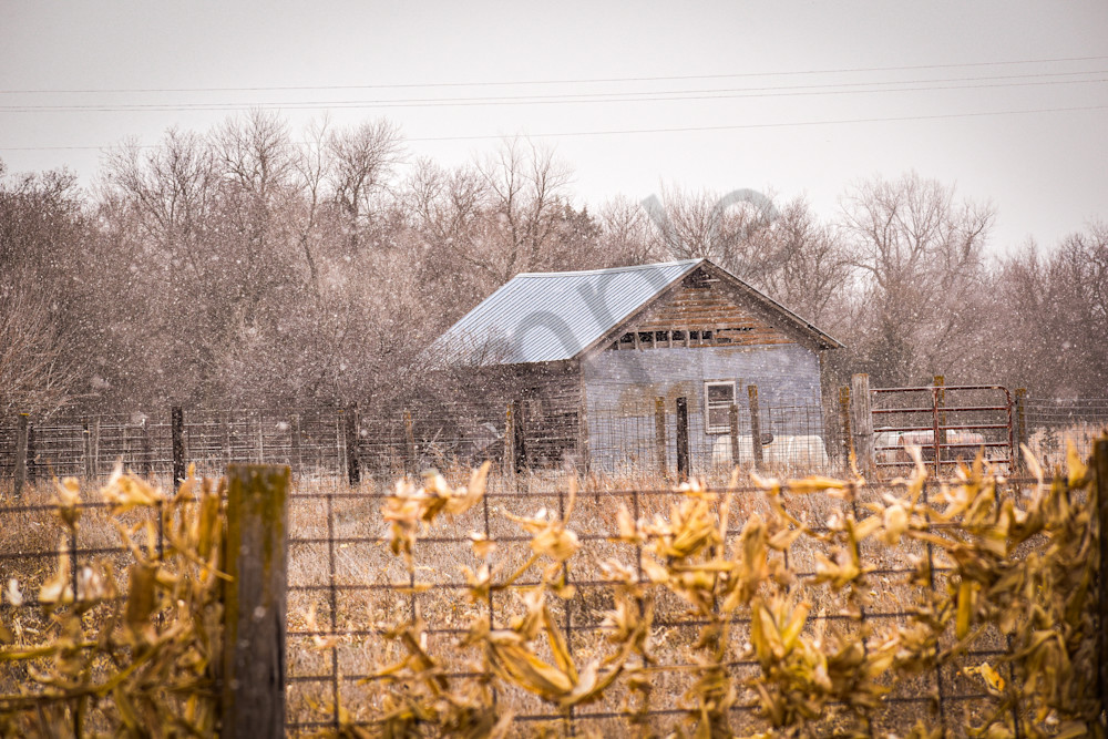 Nebraska Trip 37 3 Photography Art | Photos By Regan