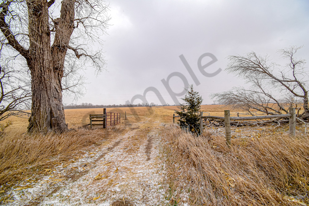Nebraska Trip 41 2 Photography Art | Photos By Regan