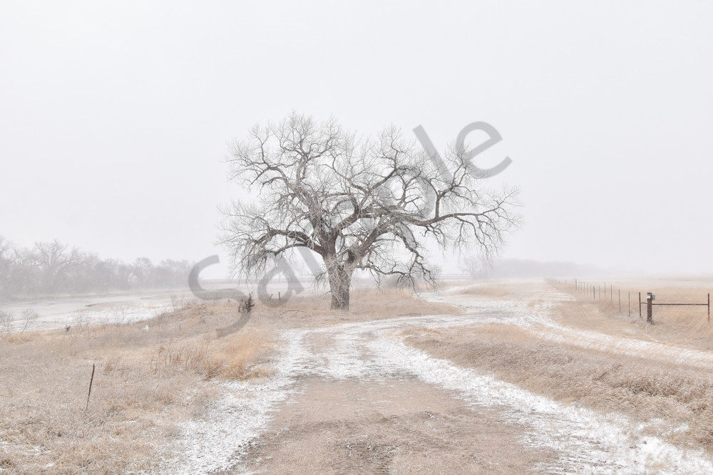 Nebraska Trip 49 2 Photography Art | Photos By Regan