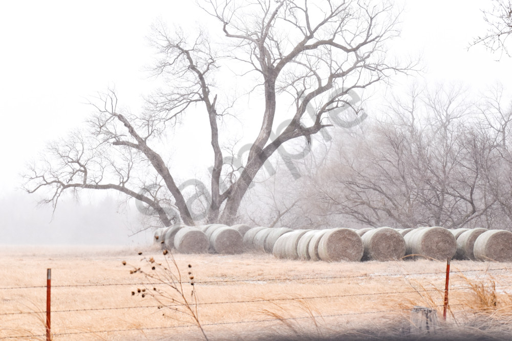 Nebraska Trip 50 2 Photography Art | Photos By Regan