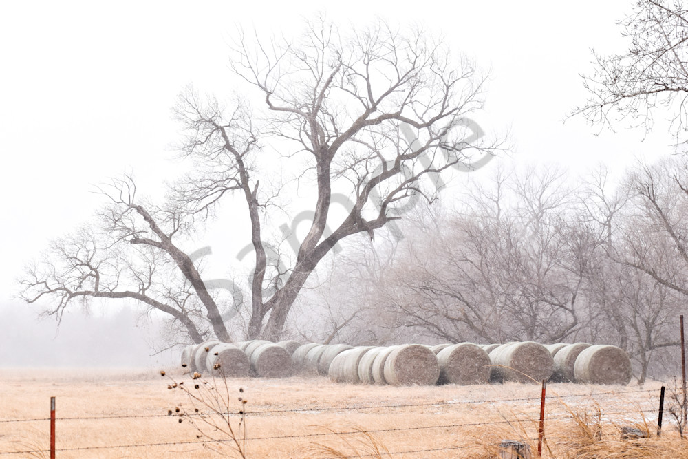 Nebraska Trip 51 2 Photography Art | Photos By Regan