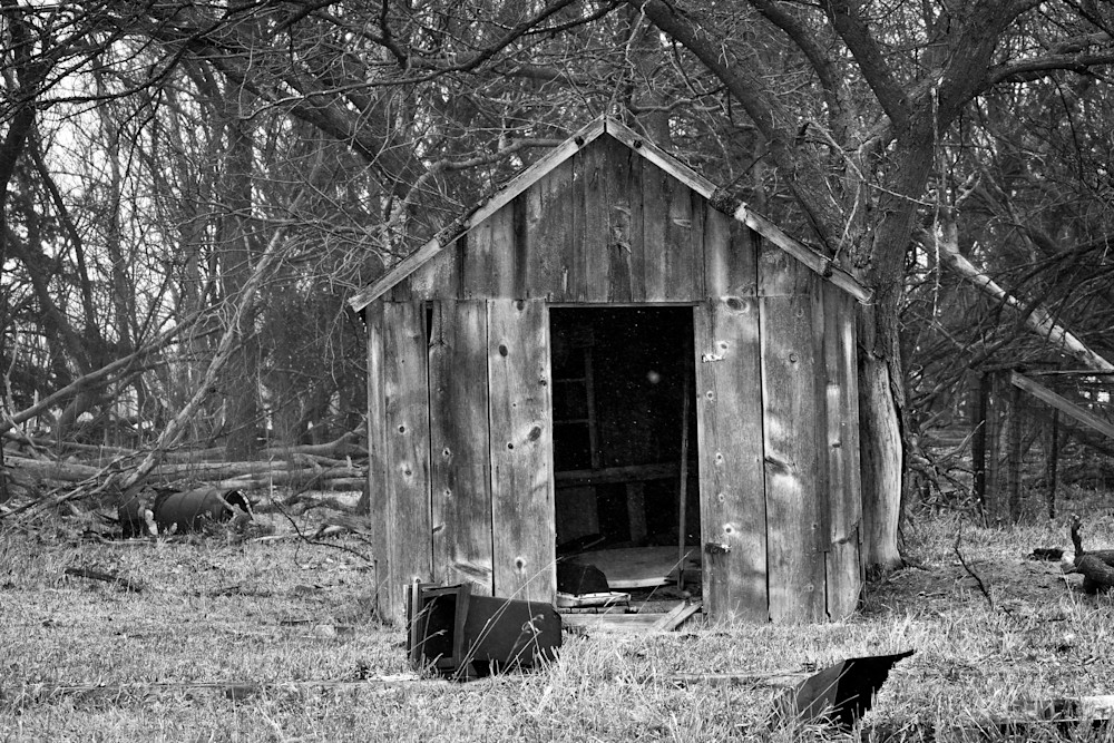 Nebraska Trip 58 2 Photography Art | Photos By Regan