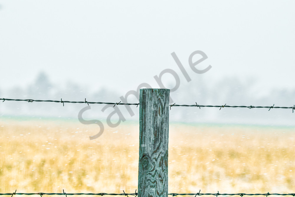 Nebraska Trip 63 2 Photography Art | Photos By Regan