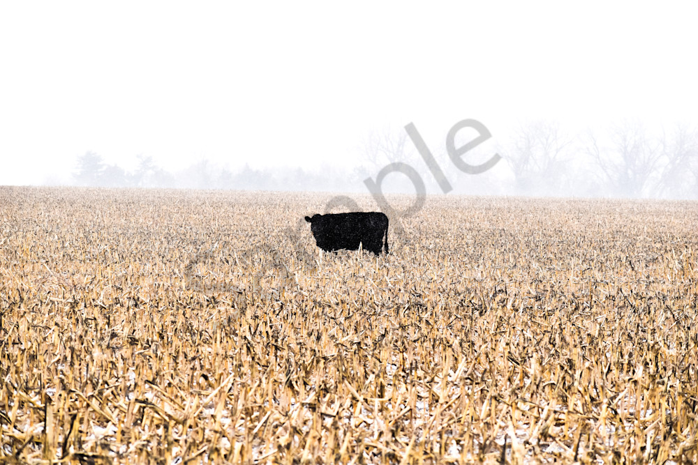 Nebraska Trip 64 2 Photography Art | Photos By Regan