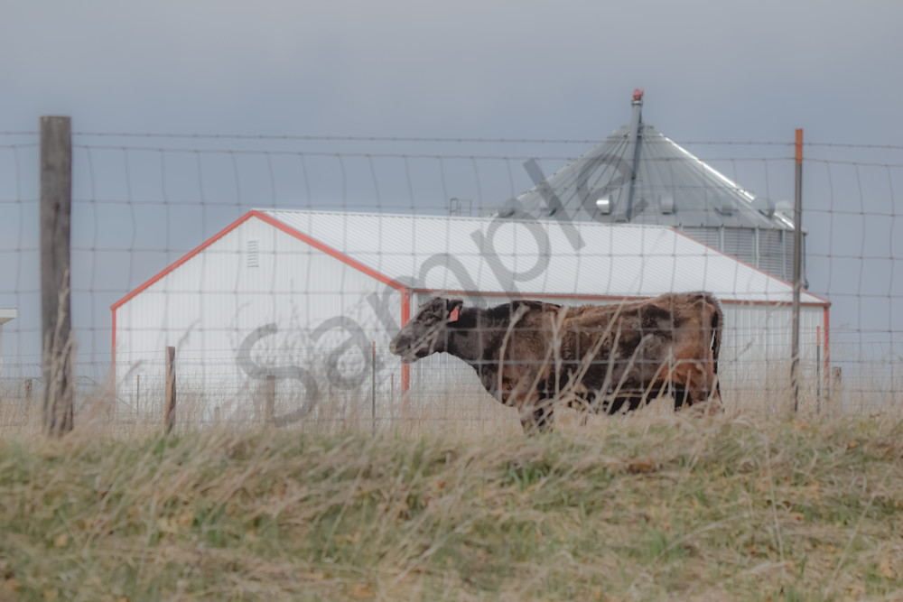 Boonville 24 Photography Art | Photos By Regan