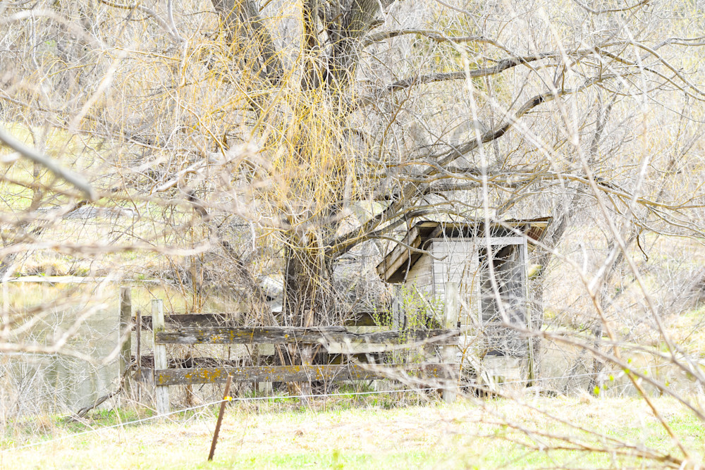 Boonville 23 Photography Art | Photos By Regan