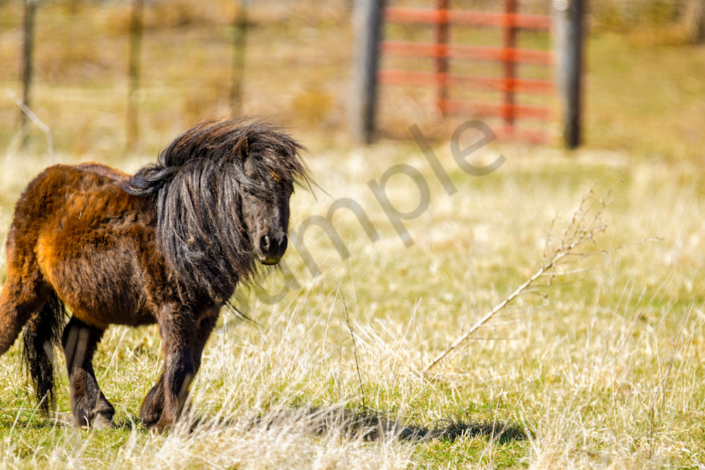 Earlham Farms 44 Photography Art | Photos By Regan