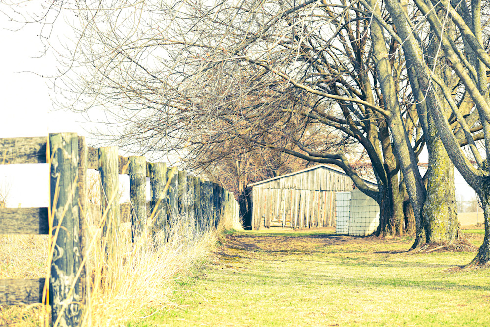 Heron 31 Photography Art | Photos By Regan