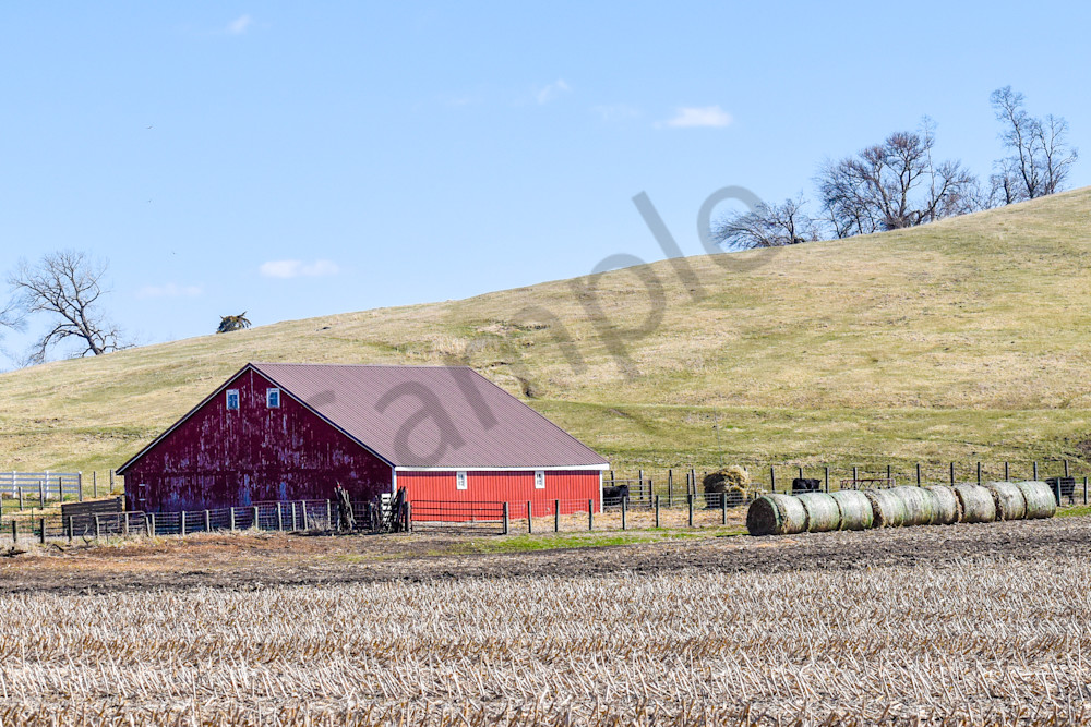 Earlham Farms 90 Photography Art | Photos By Regan