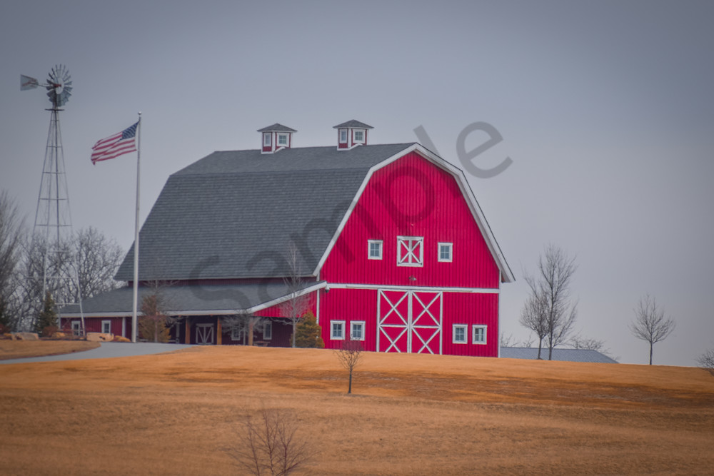 Farms And Birds 53 Photography Art | Photos By Regan