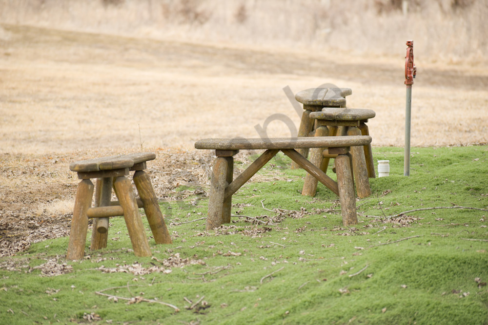 Farms And Birds 48 Photography Art | Photos By Regan