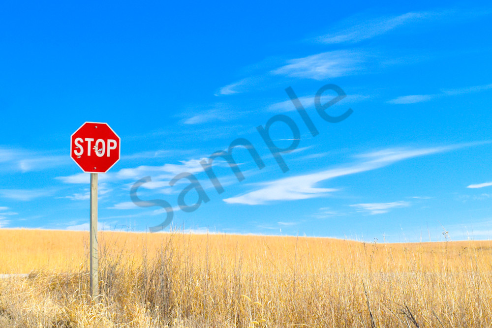 Landscapes 8 Photography Art | Photos By Regan