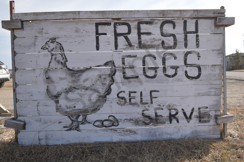 Farmhouses 131 Photography Art | Photos By Regan