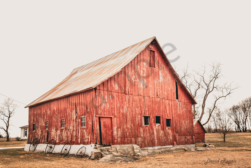 Earlham Farms 8 Photography Art | Photos By Regan