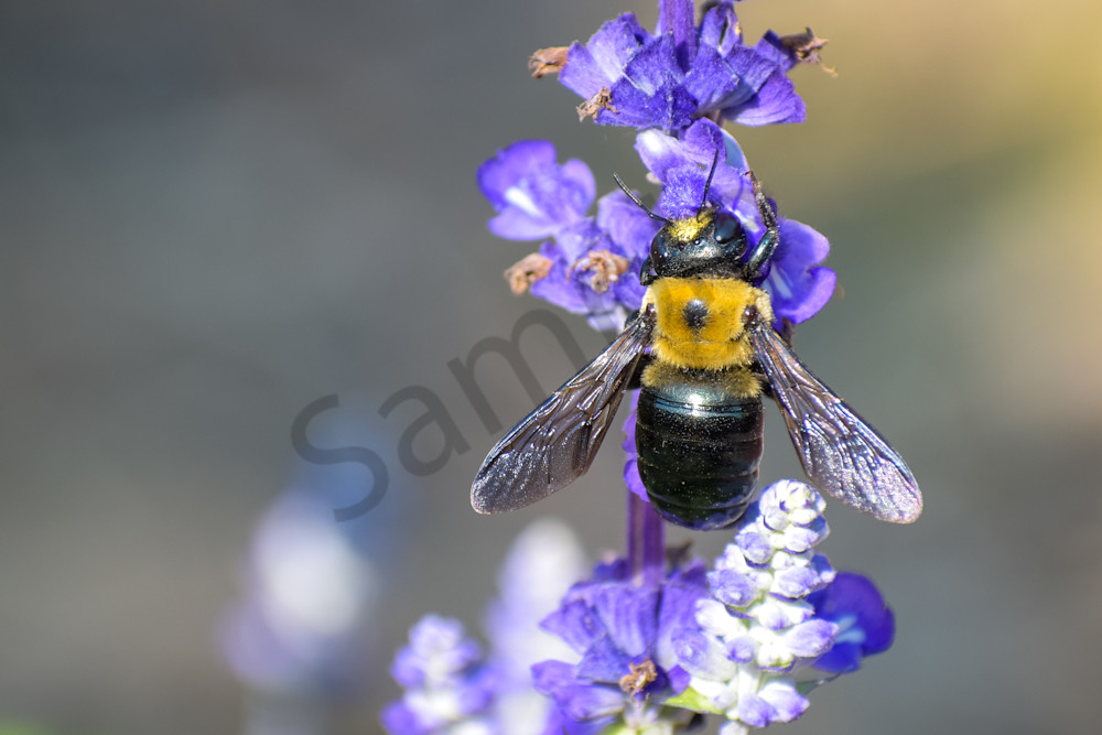 August 2025 1378 Photography Art | Photos By Regan