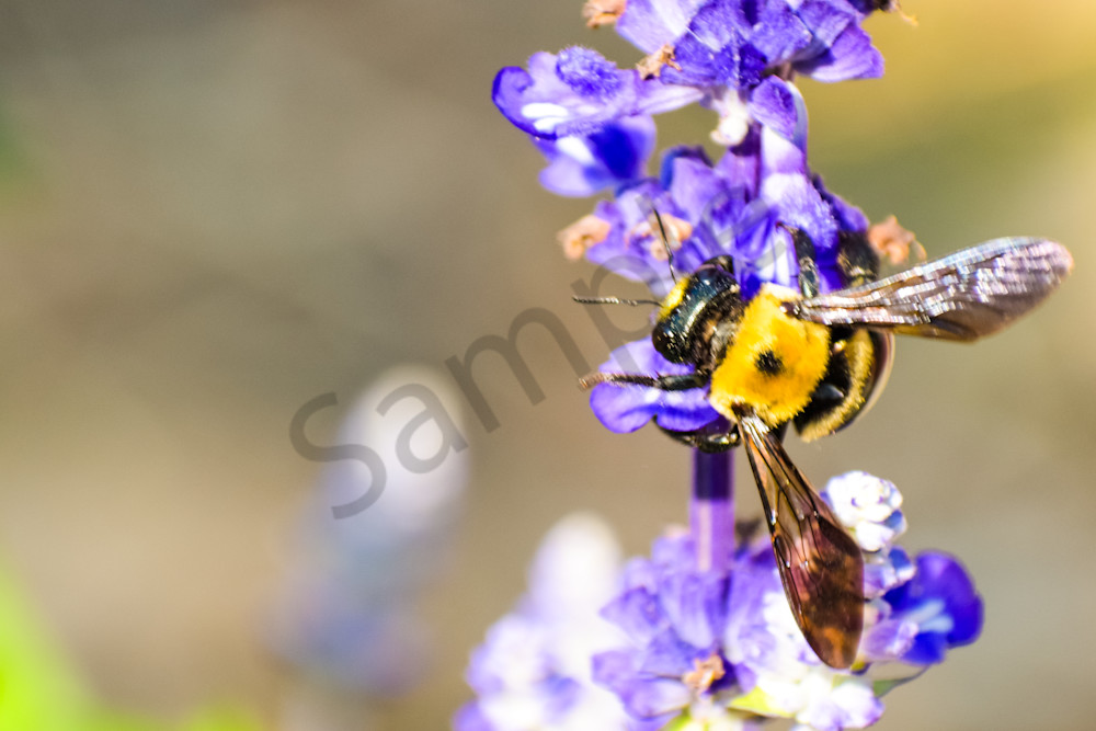 August 2025 1380 Photography Art | Photos By Regan