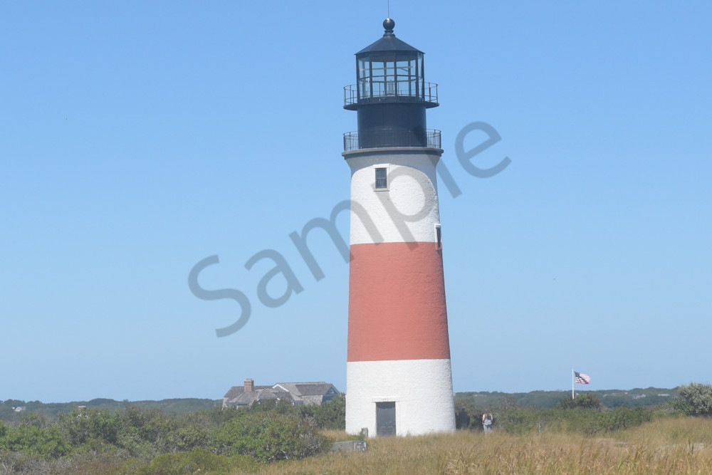 August 2025 264 Photography Art | Photos By Regan