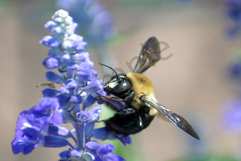 August 2025 617 Photography Art | Photos By Regan