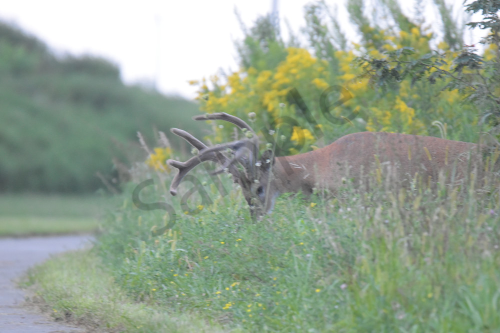 August 2025 706 Photography Art | Photos By Regan