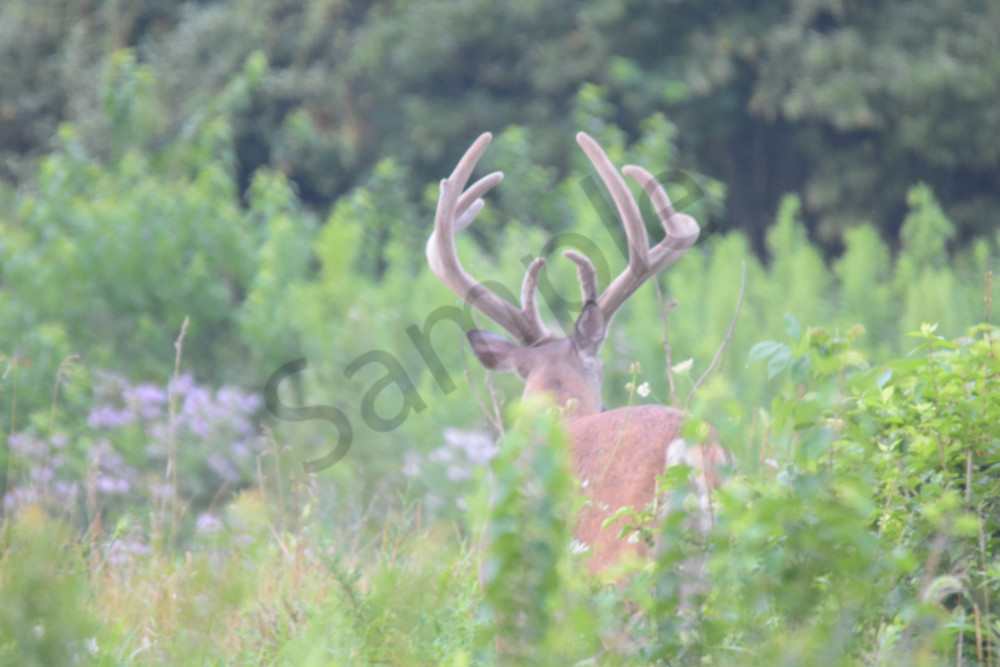 August 2025 764 Photography Art | Photos By Regan