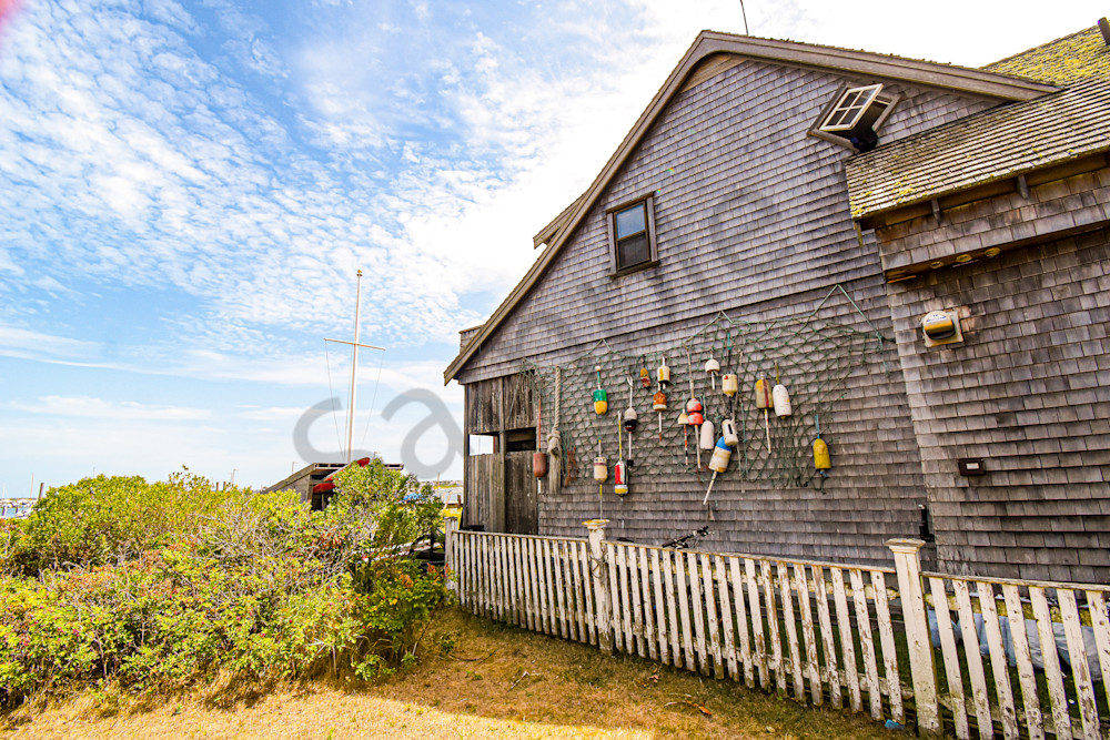 August 2025 451 Photography Art | Photos By Regan