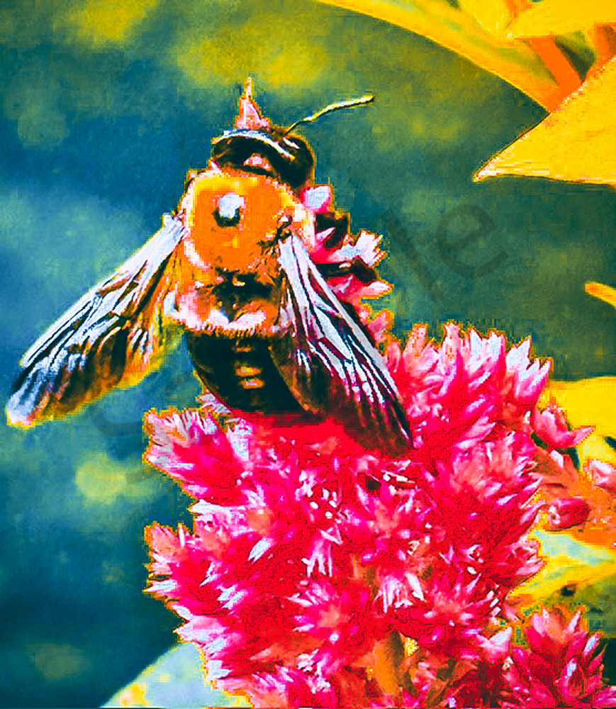 August 2025 1634 Photography Art | Photos By Regan