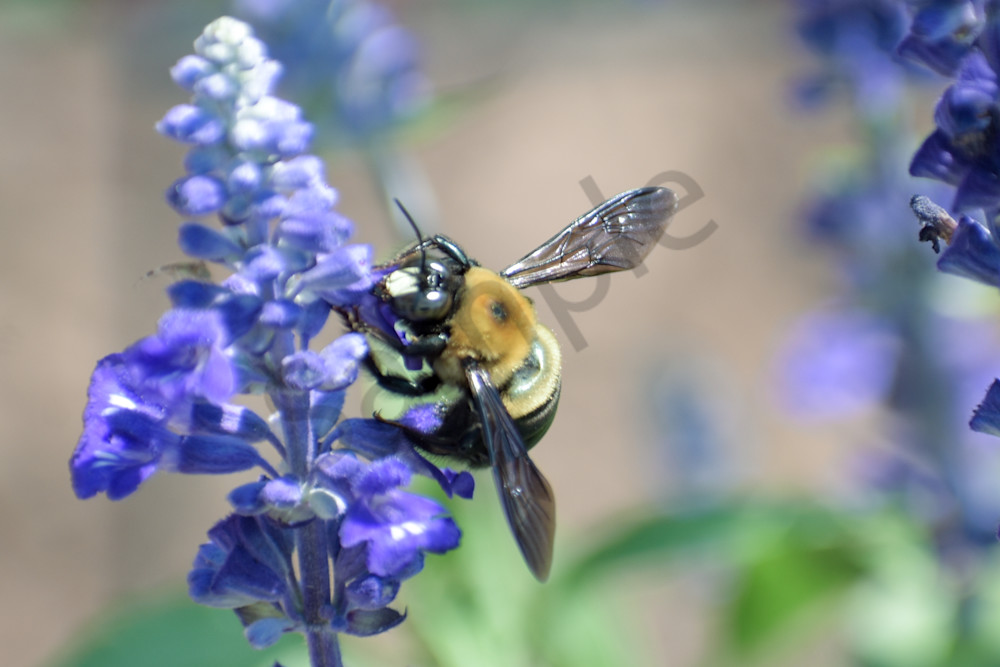 August 2025 616 Photography Art | Photos By Regan