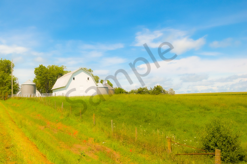 August 2025 1046 Photography Art | Photos By Regan