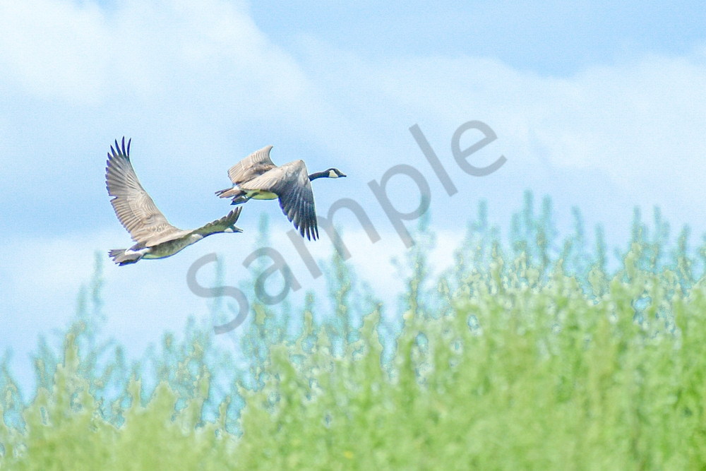 August 2025 1091 Photography Art | Photos By Regan