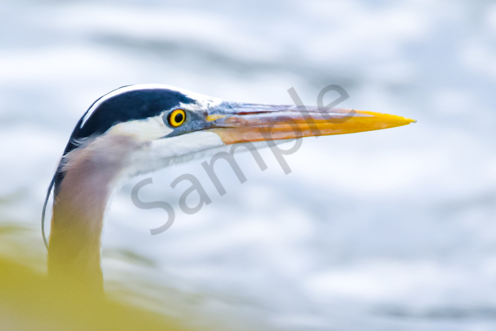 April 2025 383 Photography Art | Photos By Regan