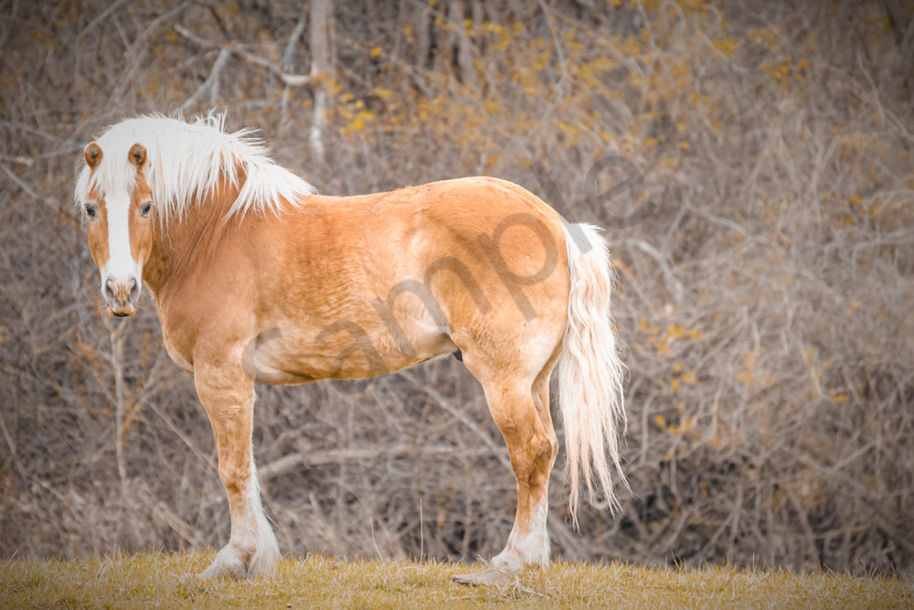 April 2025 445 Photography Art | Photos By Regan