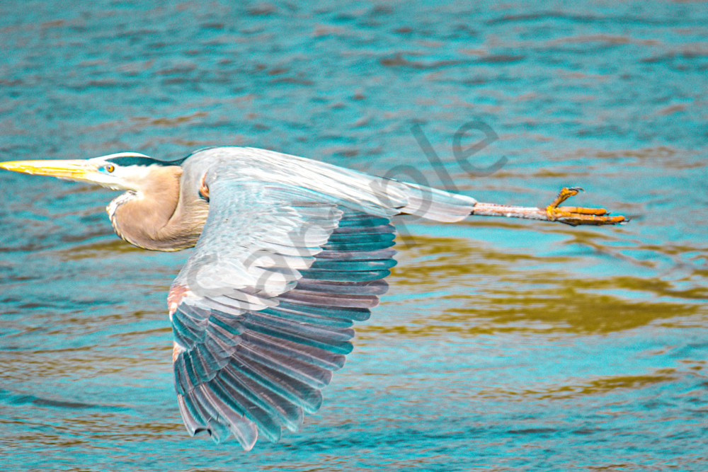 April 2025 471 Photography Art | Photos By Regan