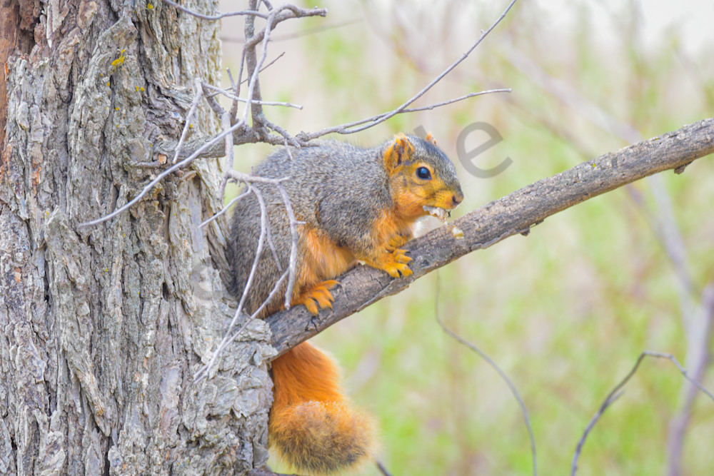 April 2025 503 Photography Art | Photos By Regan