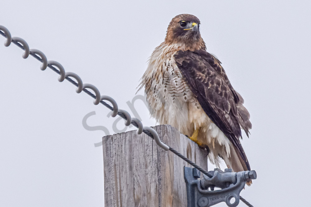 December 2025 124 Photography Art | Photos By Regan