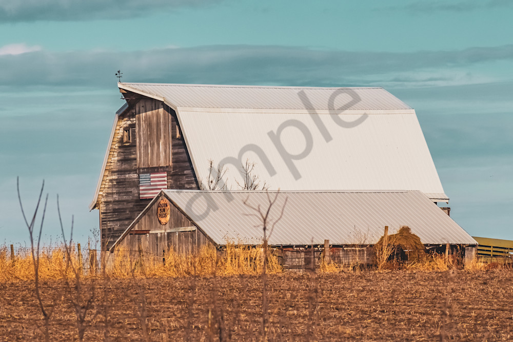 December 2025 186 Photography Art | Photos By Regan