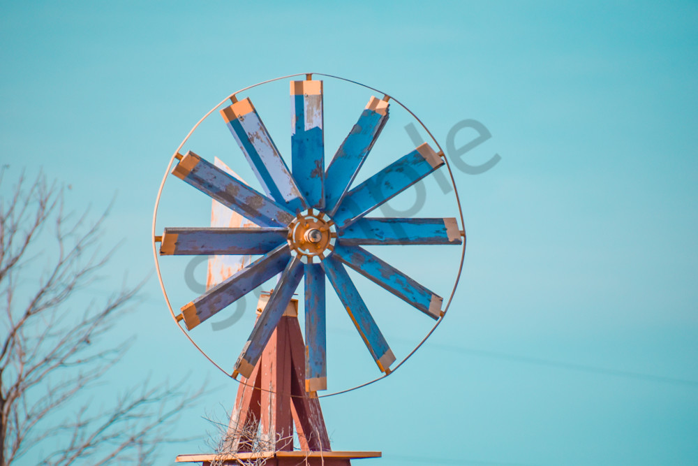 December 2025 241 Photography Art | Photos By Regan