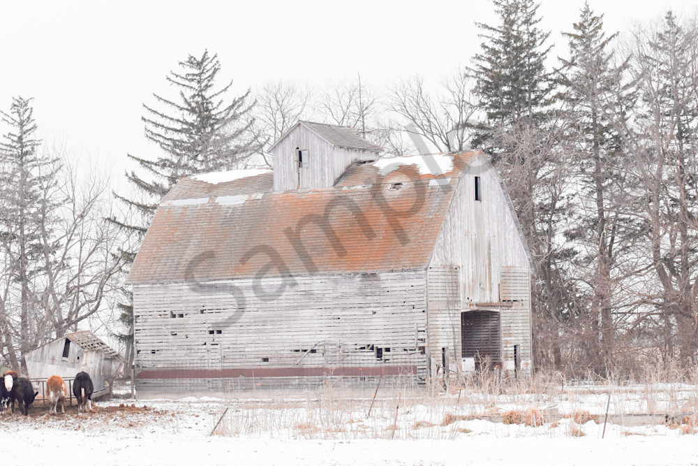 December 2025 629 Photography Art | Photos By Regan