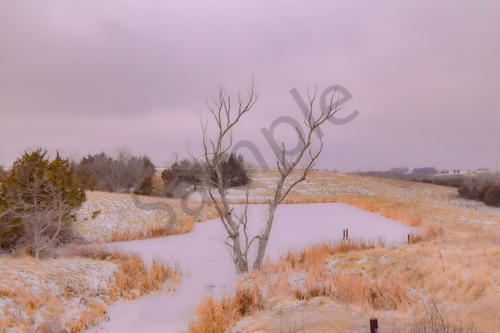 December 2025 654 Photography Art | Photos By Regan