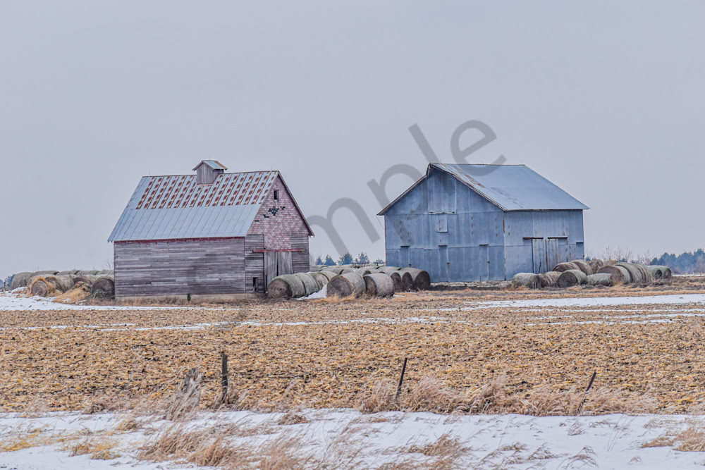 December 2025 692 Photography Art | Photos By Regan