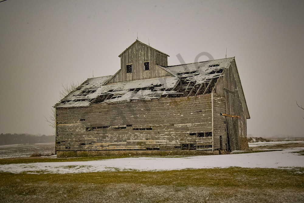 December 2025 725 Photography Art | Photos By Regan