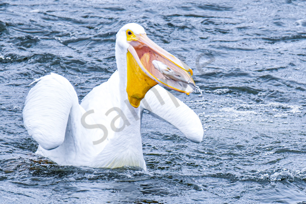 December 2025 796 Photography Art | Photos By Regan